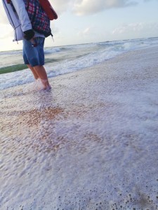 At the Beach 2019-01