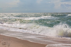 At the Beach 2019-03