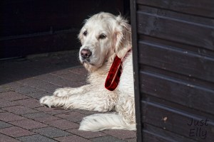 At the Beach 2019-04