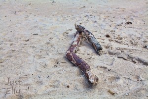 At the Beach 2019-07