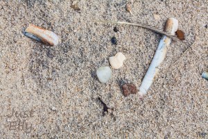 At the Beach 2019-09