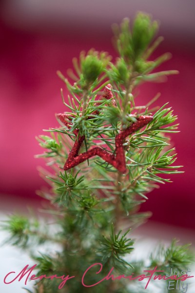 Merry Christmas 3-2022